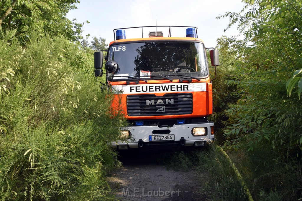 Waldbrand Koeln Hoehenhaus Hoehenfelder Mauspfad P053.JPG - Miklos Laubert